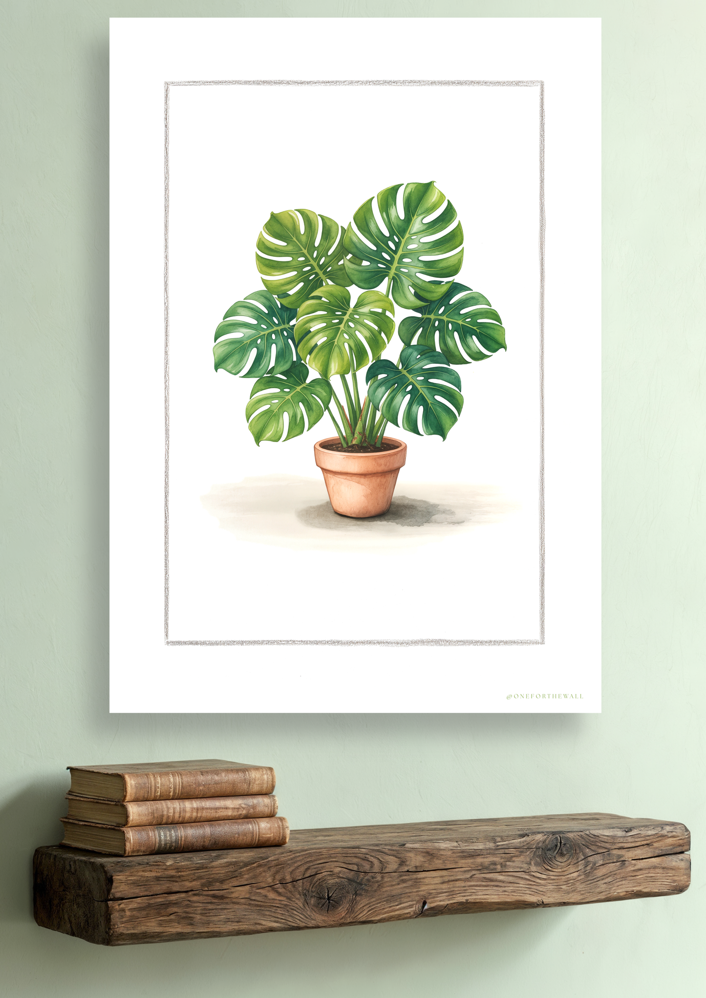 Monstera - Lámina artística