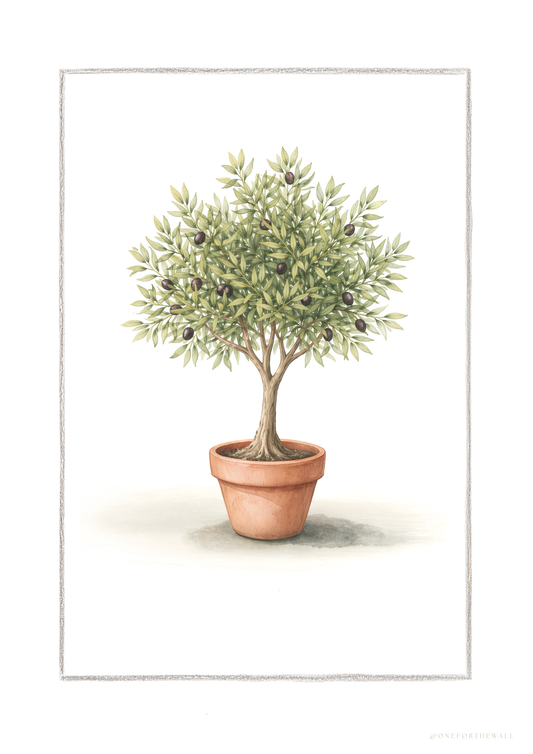 Olive tree - Art Print