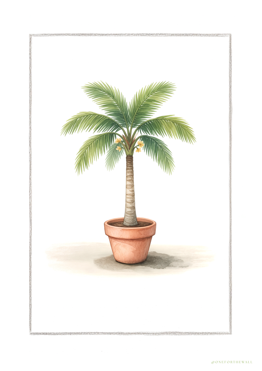 Palm tree - Art Print