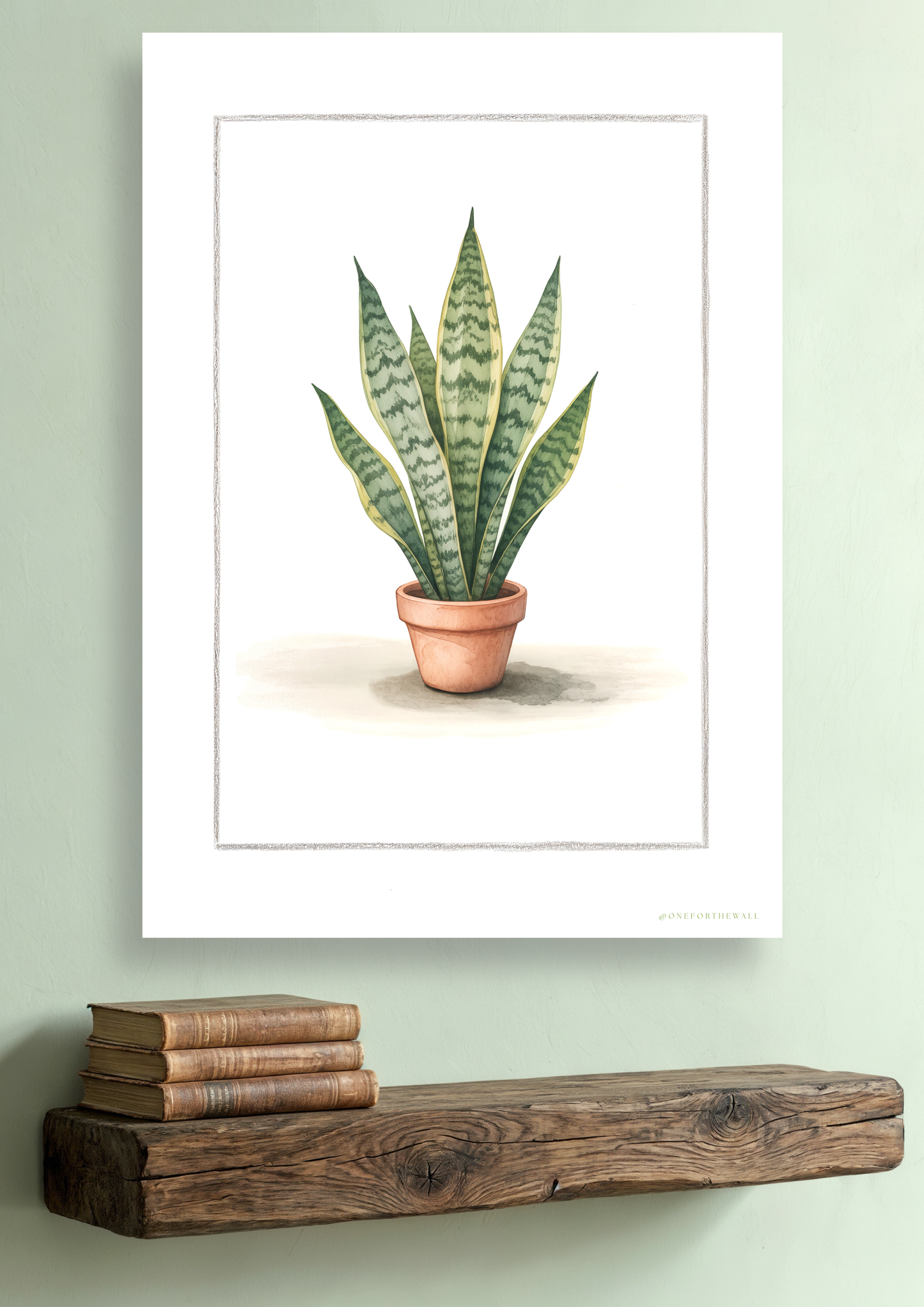 Sansevieria - Art Print