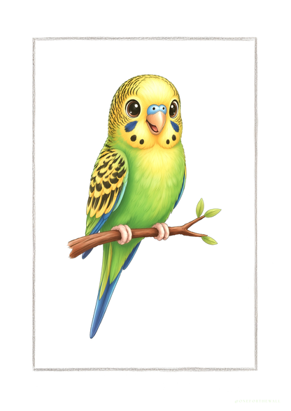 Little Budgie - Art Print