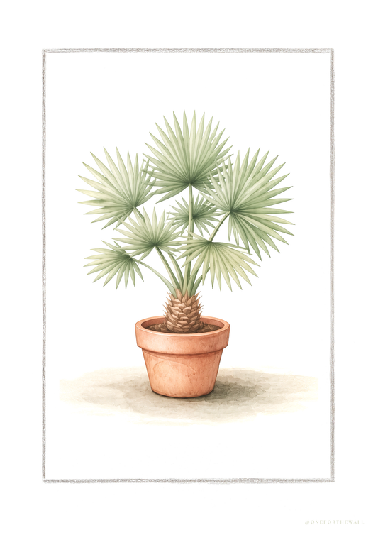 Fan Palm - Art Print